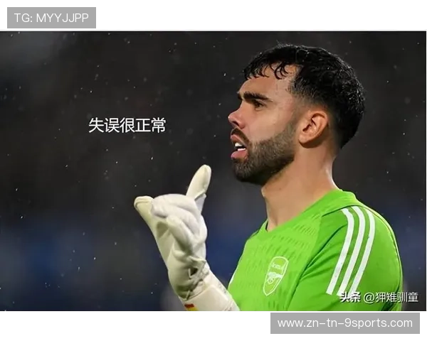 德甲门将市场被俱乐部高层纳入长期资产配置与风险评估