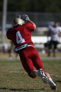 九游官网入口注册-中超球员战术执行稳定性评分机制,中超联赛评分标准