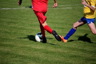 九游体育官网-中超球员比赛热度曲线与表现匹配模型,中超热身赛