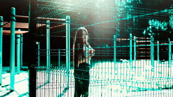 九游娱乐在线-基于大数据的学生体育健康评估模型构建,体育大数据应用