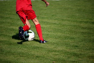 九游官网入口活动-篮球运动员心理健康维护服务体系研究，篮球心理技能训练计划